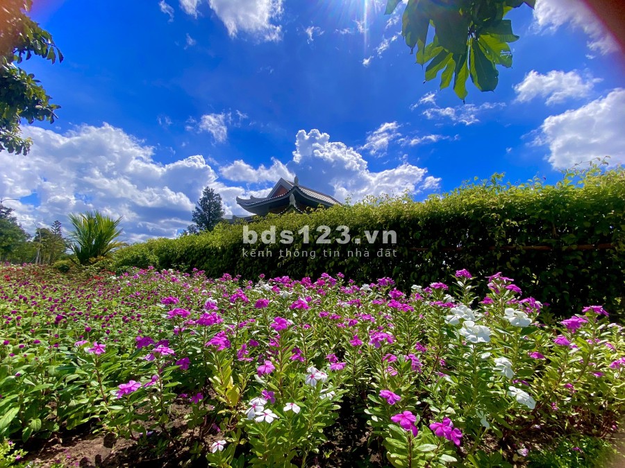 Sala Garden giá ưu đãi lên tới 3 cây vàng khi mua đất sinh phẩn, vị trí đắc địa, tiện ích đầy đủ