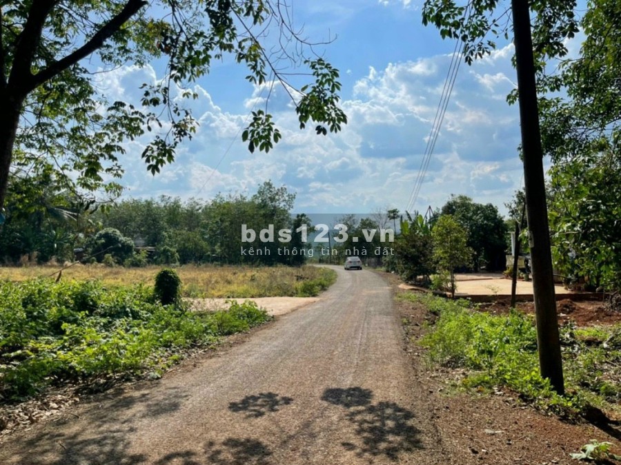 Bán lô đất đẹp ở Bình Phước giá rẻ đầu tư sinh lời cao, pháp lý bàn giao đủ