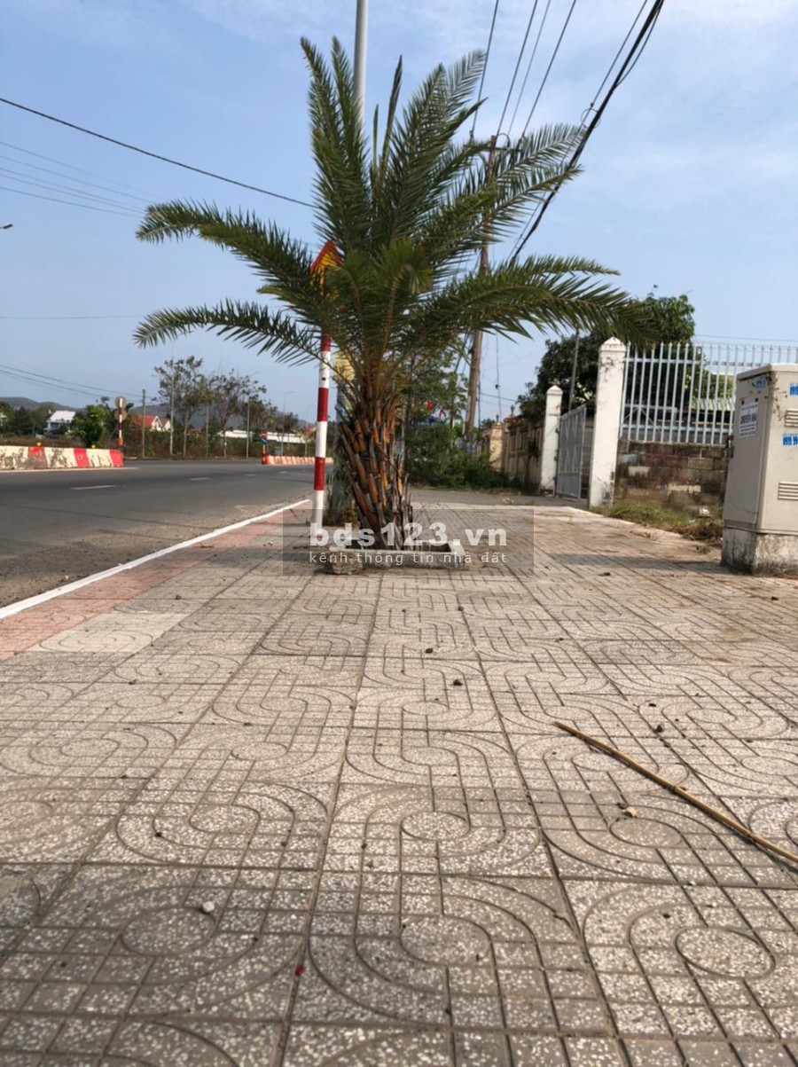Đất tại trung tâm hành chính Bà Rịa giá 1 tỷ 7 Chính Chủ sổ hồng chính chủ bàn giao ngay
