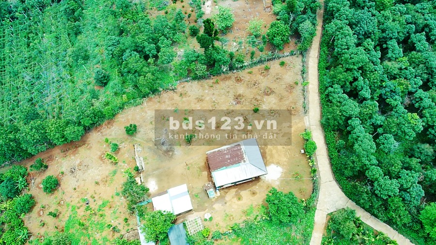 Siêu Đẹp Lô Hồ Nghỉ Dưỡng 1.1ha Nâm N'Jang - Đường Beetong, Đất Bám Mặt Hồ 57m x 271m