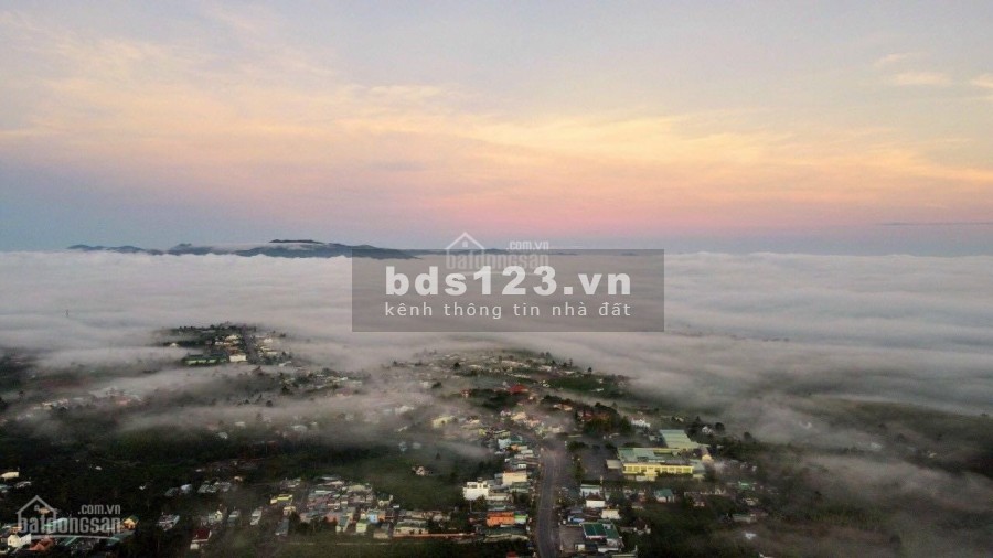Đất Bảo Lâm, View Săn Mây cách DT 725 1 sẹc, giá 1tr2/m2 sổ sẵn, liên hệ 0344722703