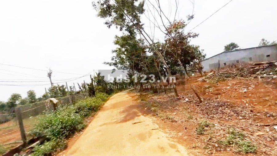 Siêu Đẹp Lô Hồ Nghỉ Dưỡng 1.1ha Nâm N'Jang - Đường Beetong, Đất Bám Mặt Hồ 57m x 271m