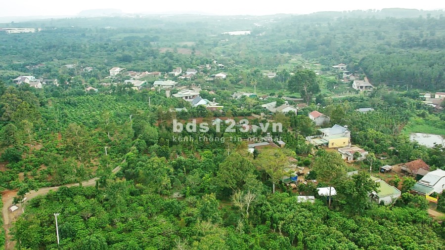 Phát Hiện Lô Hồ Đẹp 2.806m2 Có 400m thổ cư KDC Đông Đúc, Dân Trí, 3 Phút Ra QL14