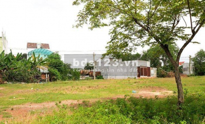 Đất Đối Diện Chợ 480m2(20x24) + Nhà Trọ 28 Phòng Chỉ 800tr. LH: 0969.739.583 (Găp Chủ đất)