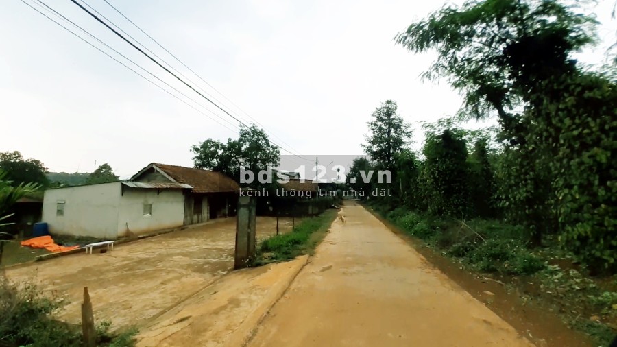 Phát Hiện Lô Hồ Đẹp 2.806m2 Có 400m thổ cư KDC Đông Đúc, Dân Trí, 3 Phút Ra QL14