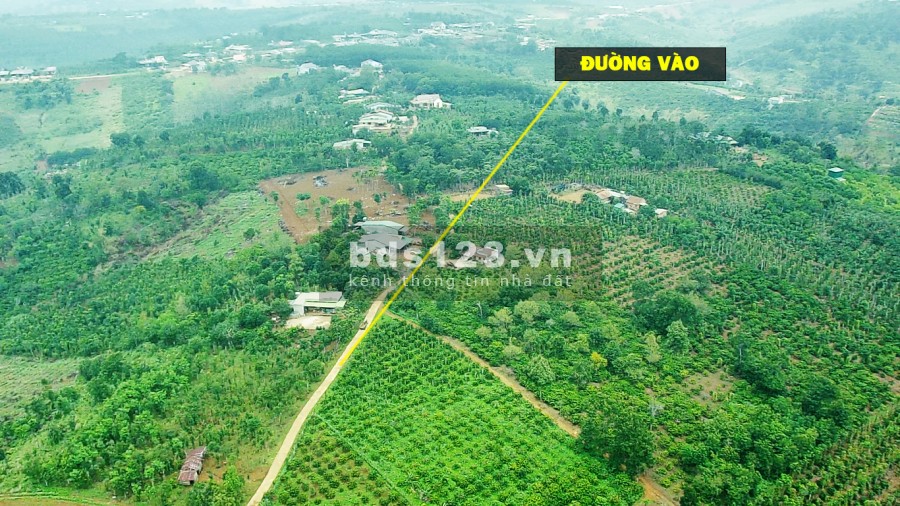 Hồ Siêu Đẹp 14.395 m2 đất chuyển thổ cư có nhà xây, 350m mặt tiền, bám 100m hồ lớn Nâm N'Jang