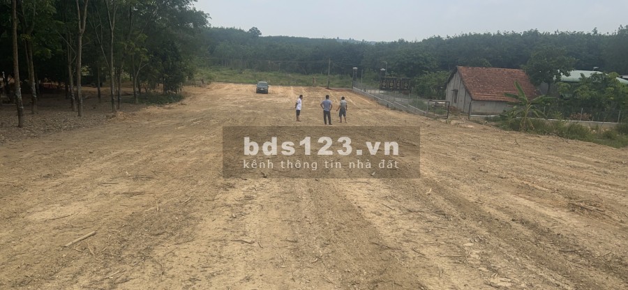 Cần bán đất tại xã Tân Lợi, Đồng Phú ngay khu công nghiệp Becamex 6300ha