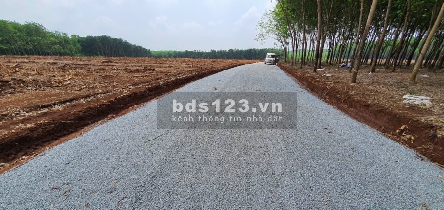 Kẹt tiền đáo hạn ngân hàng cần bán gấp lô đất diện tích 1000m2, giá tốt đầu tư vị trí đẹp