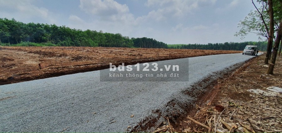 Đất giá rẻ mặt tiền 28 nối dài ra đường Bình Dương, Đồng Phú, hỗ trợ vay ngân hàng