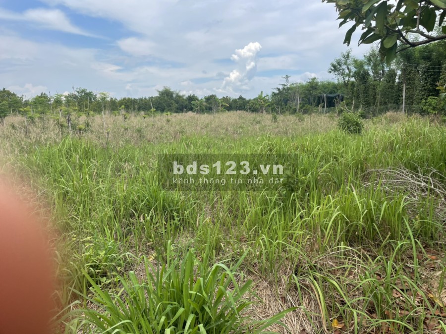 Cần bán đất 2 mặt tiền nhựa và bê tông ở xã Tân Thành, Bù Đốp, vị trí đắc địa, giá tốt