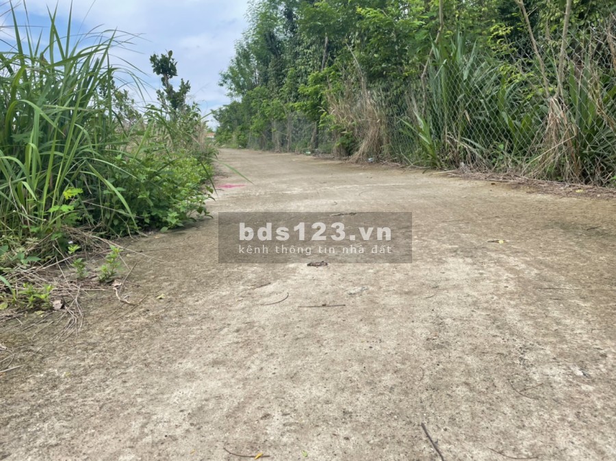 Cần bán đất 2 mặt tiền nhựa và bê tông ở xã Tân Thành, Bù Đốp, vị trí đắc địa, giá tốt