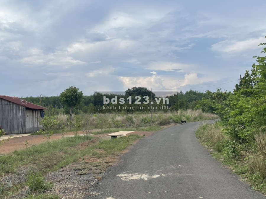 Cần bán đất 2 mặt tiền nhựa và bê tông ở xã Tân Thành, Bù Đốp, vị trí đắc địa, giá tốt