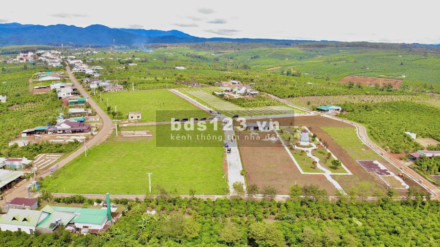 Cần bán gấp lô đất mặt tiền Nguyễn Văn Cừ đường chính, Lộc Phú, Bảo Lâm, Lâm Đồng.giá siêu rẻ