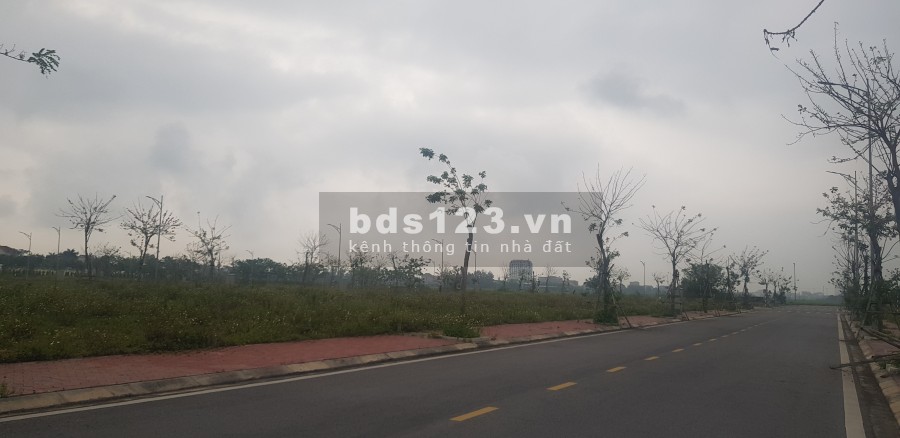 Dự án TNR Diễn Châu, chính sách và giá rẻ nhất thị trường bất động sản Nghệ An