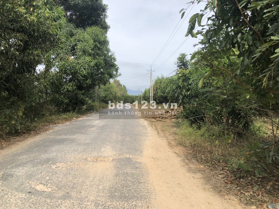 Cần ra gấp mảnh vườn 1000m2 ngay gần ấp văn hóa đồng xoài cách ql 2km