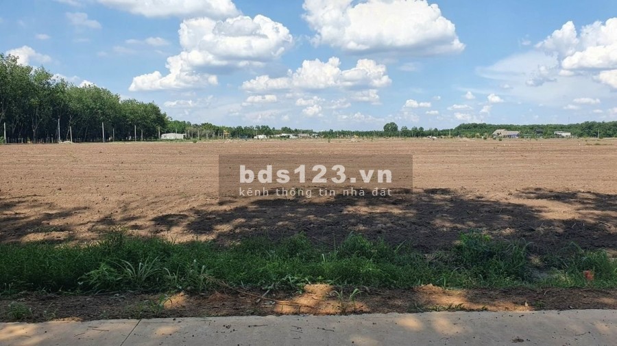 Cần ra gấp mảnh vườn 1000m2 ngay gần ấp văn hóa đồng xoài cách ql 2km