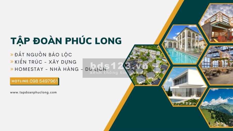 Siêu phẩm đất nền biệt thự view rừng thông, hướng tốt, vị trí đắc địa, giá đầu tư sinh lời