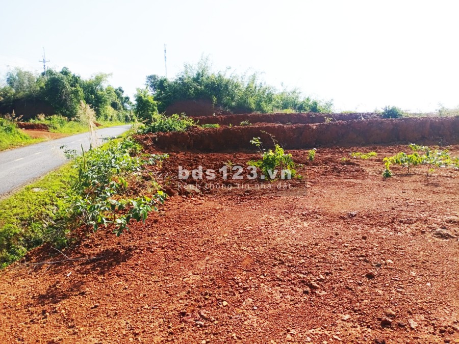 Bán đất đường Quốc Lộ 28, xã Quãng Khê , Huyện Đăk Glong, tỉnh Đăk Nông