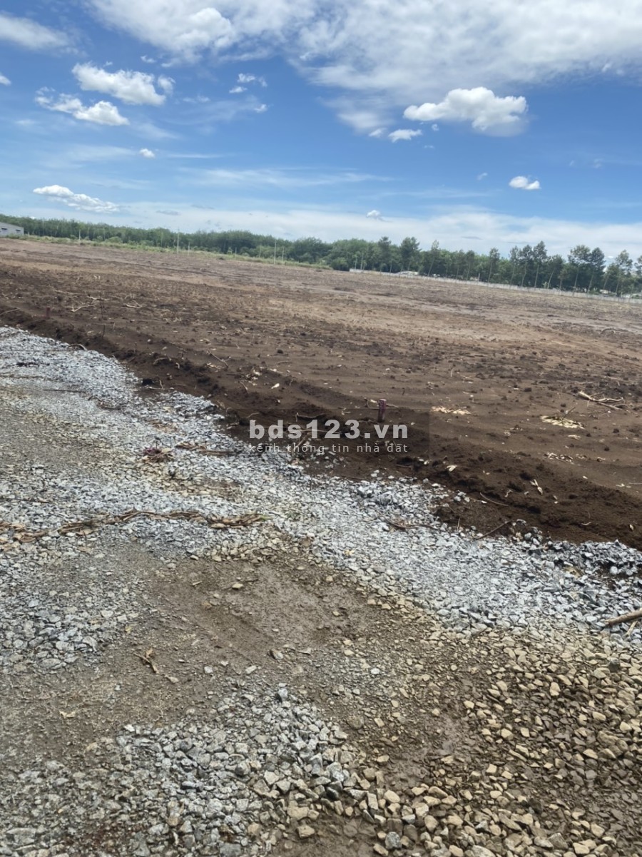 Bán gấp lô đất đầu tư giá F0 ở Bình Phước, pháp lý chính chủ, tiện ích xung quanh đầy đủ