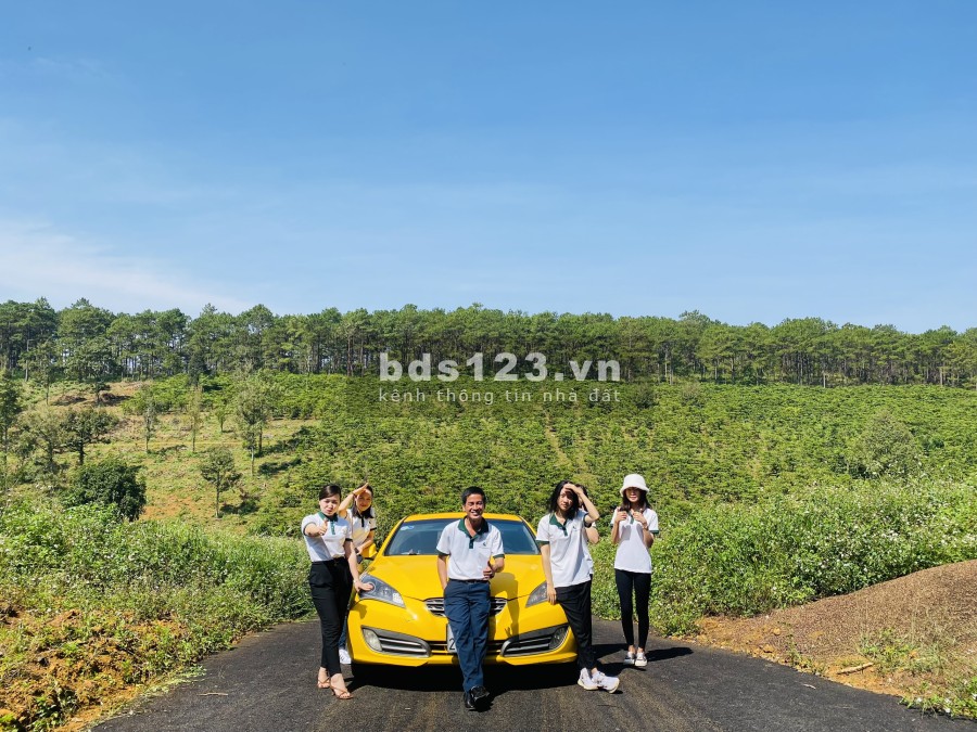 Siêu phẩm đất nền biệt thự view rừng thông, hướng tốt, vị trí đắc địa, giá đầu tư sinh lời
