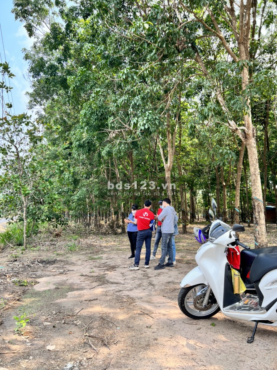 Đất nền 2 MẶT TIỀN đường Phước Bình Long Thành, ngân hàng hỗ trợ vay, giá tốt đầu tư sinh lời