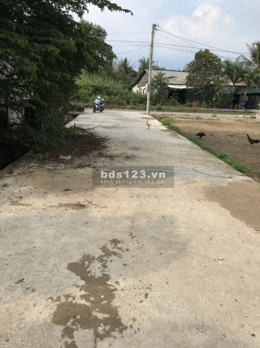 Bán gấp đất đầu tư, kinh doanh tại Bến Tre, sổ hồng chính chủ và pháp lý rõ ràng