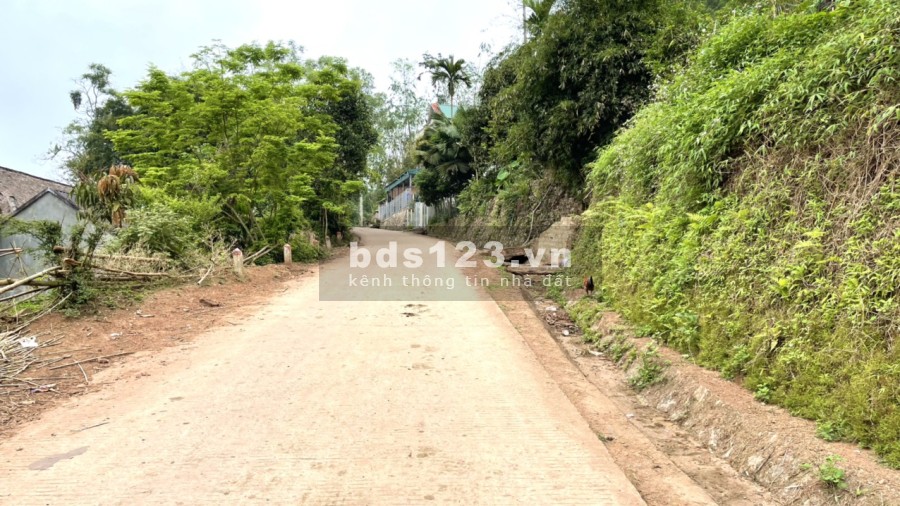 Lô đất view cánh đồng bậc thang tại Cao Phong giá f0 liên hệ 0989256789 giá đầu tư