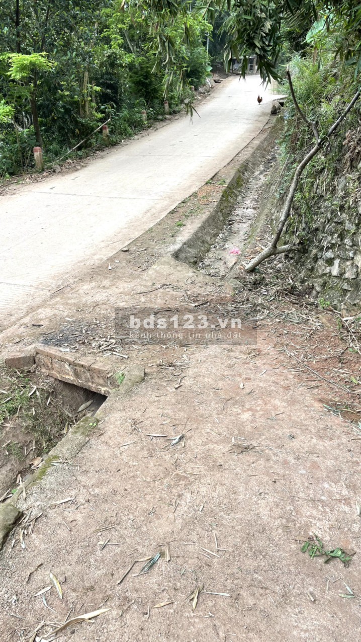 Lô đất view cánh đồng bậc thang tại Cao Phong giá f0 liên hệ 0989256789 giá đầu tư