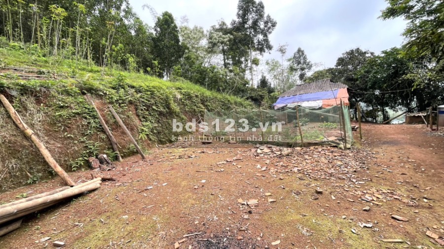 Lô đất view cánh đồng bậc thang tại Cao Phong giá f0 liên hệ 0989256789 giá đầu tư