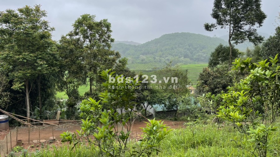 Lô đất view cánh đồng bậc thang tại Cao Phong giá f0 liên hệ 0989256789 giá đầu tư