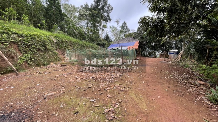 Lô đất view cánh đồng bậc thang tại Cao Phong giá f0 liên hệ 0989256789 giá đầu tư
