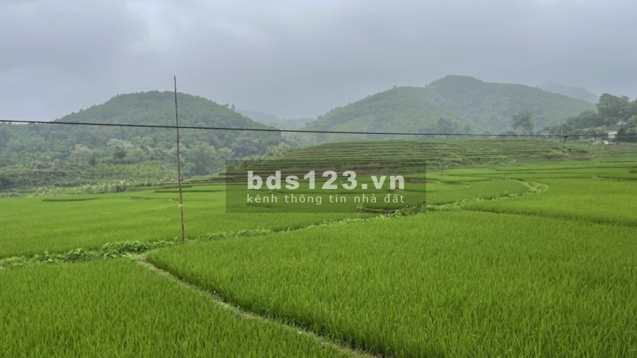 Lô đất view cánh đồng bậc thang tại Cao Phong giá f0 liên hệ 0989256789 giá đầu tư