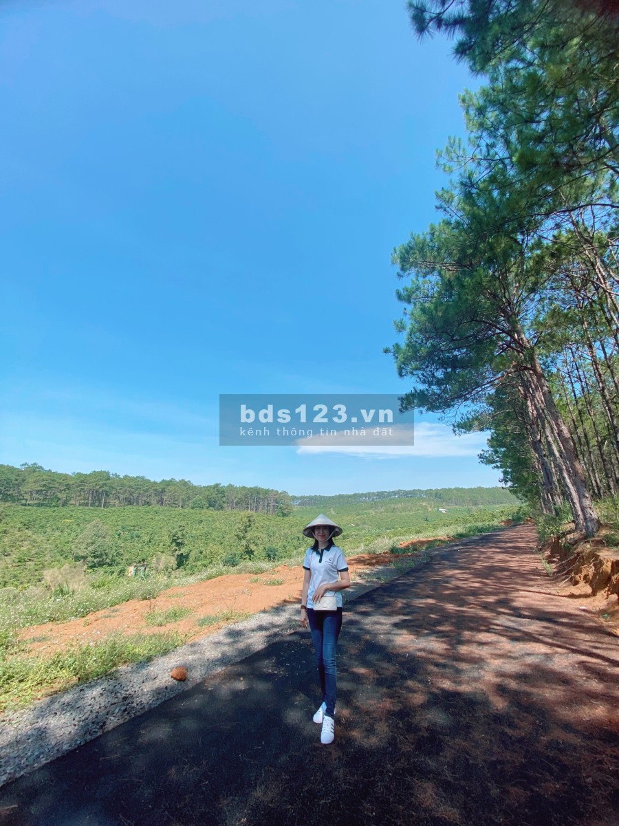Siêu phẩm đất nền biệt thự rừng thông mt đường nhựa 6m, diện tích hơn 500m2 giá rẻ nhất