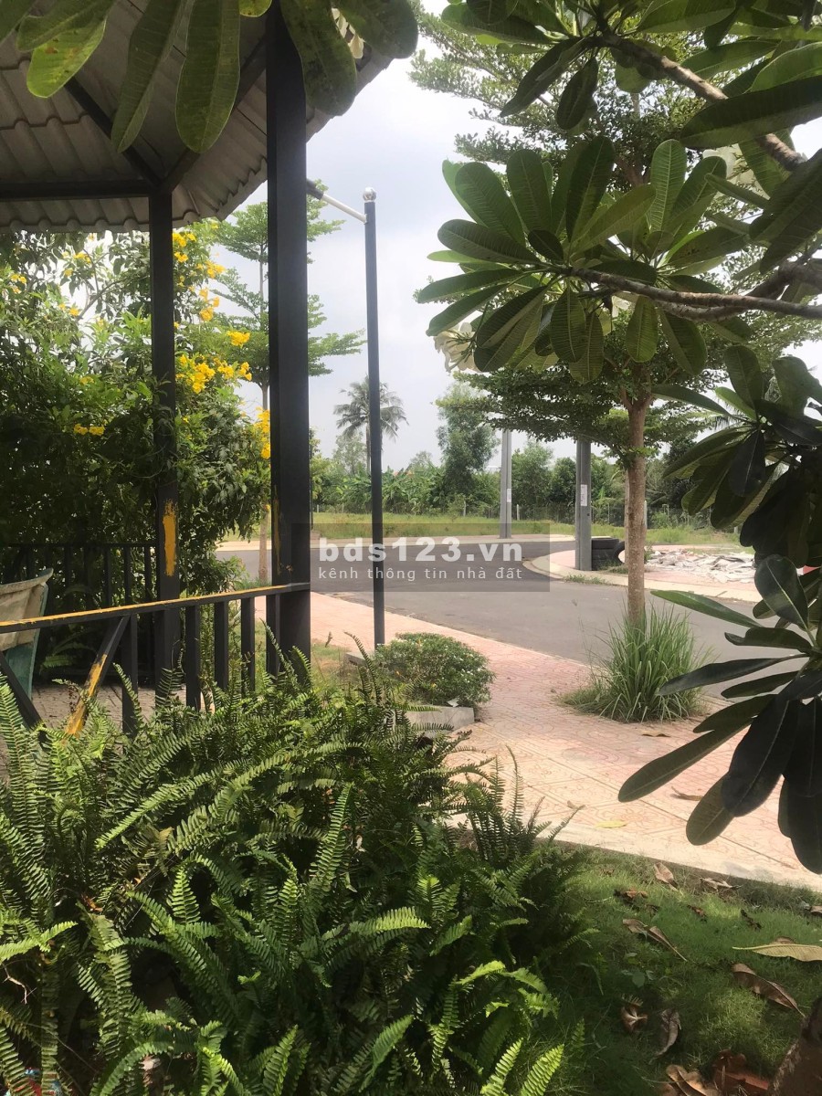 Mở bán dự án Long Cang New mặt tiền, giá mềm, sổ hồng riêng.