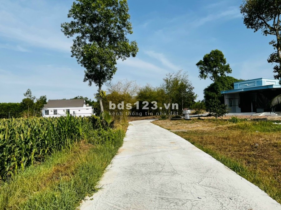 Chủ cần bán gấp lô đất 5X50 thổ cư ngay sát ủy ban Phước Long Thọ Đất Đỏ