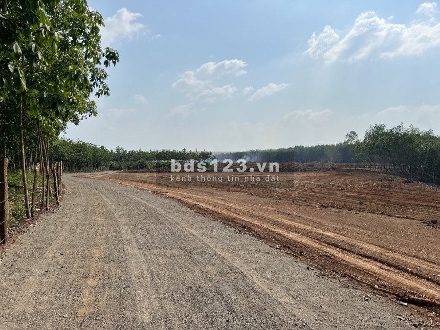 10 nền đất sổ hồng riêng giá F0, Vị trí cực đẹp, tiềm năng lớn, giá bán chỉ 550 triệu/nền