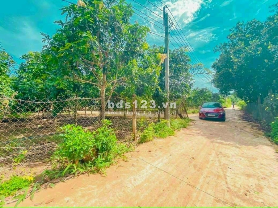 Chính chủ cần bán lô đất vườn nghỉ dưỡng mặt tiền đường đẹp giá đầu tư sinh lời