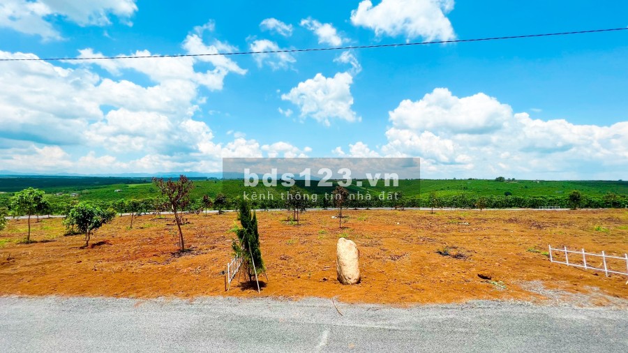 Đất nền có sẵn sổ gần dự án 30.000ha của tập đoàn Novaland, pháp lý chính chủ, giá tốt đầu tư