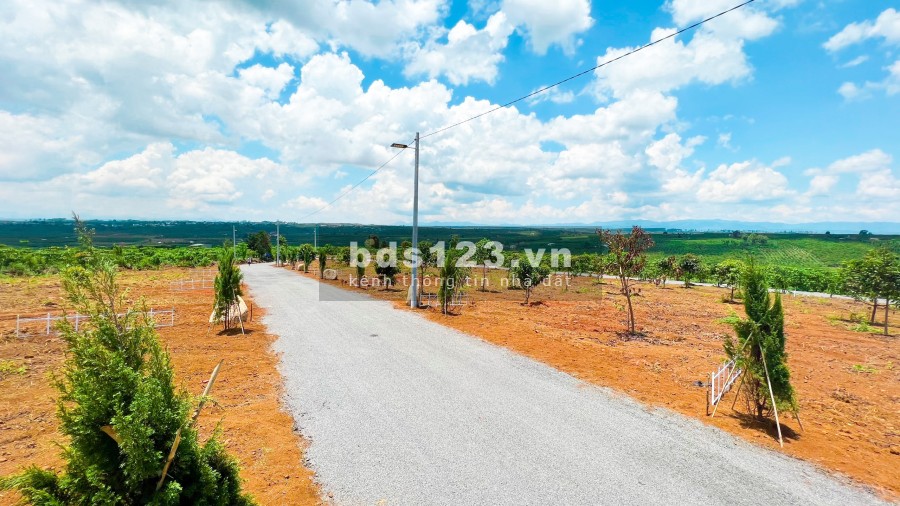 Đất nền có sẵn sổ gần dự án 30.000ha của tập đoàn Novaland, pháp lý chính chủ, giá tốt đầu tư