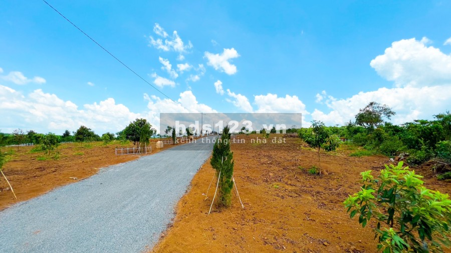 Đất nền có sẵn sổ gần dự án 30.000ha của tập đoàn Novaland, pháp lý chính chủ, giá tốt đầu tư