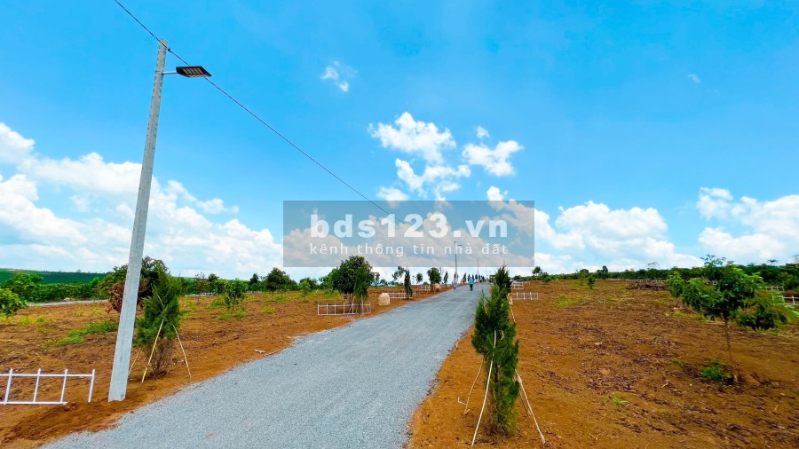 Đất nền có sẵn sổ gần dự án 30.000ha của tập đoàn Novaland, pháp lý chính chủ, giá tốt đầu tư
