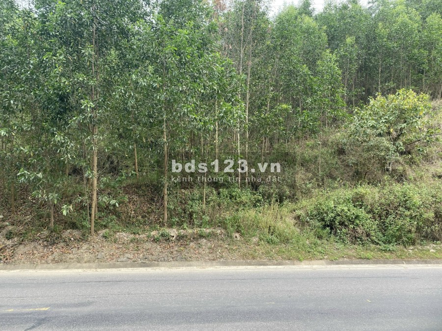 Bán đất mặt tiền quốc lộ 27c Nha Trang - Đà Lạt rẻ nhất khu vực giá bán thoả thuận