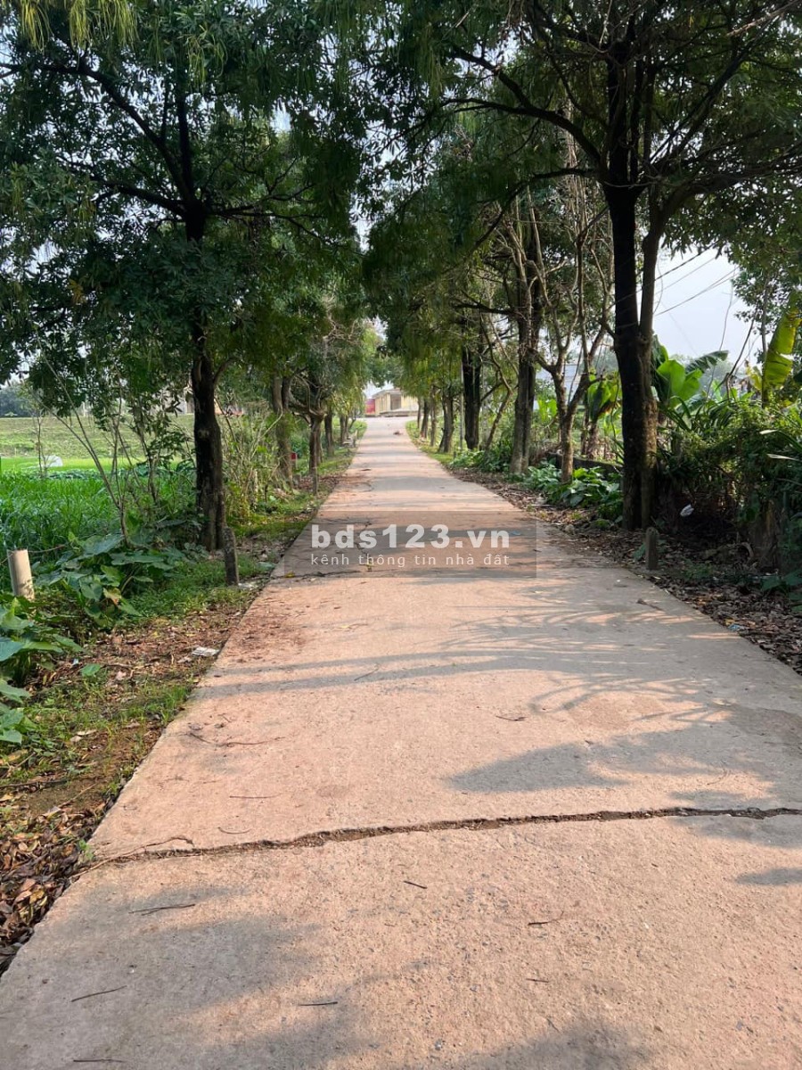 Chính chủ cần tiền bán gấp lô đất hoa hậu giá rất tốt tại thời điểm diện tích 586m2