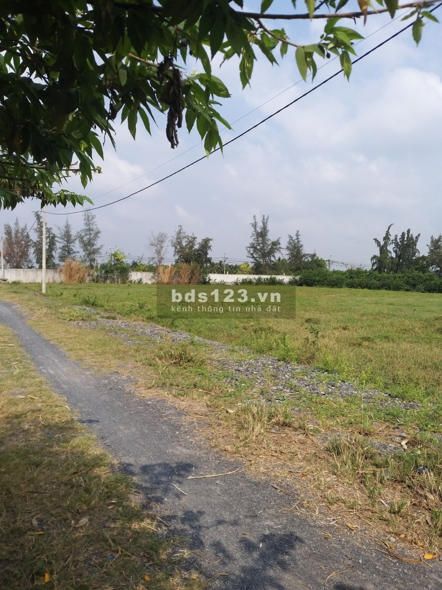 Cần bán lô đất full thổ cư Tân Nhựt - Bình Chánh - đón đầu quy hoạch TP - giá rẻ