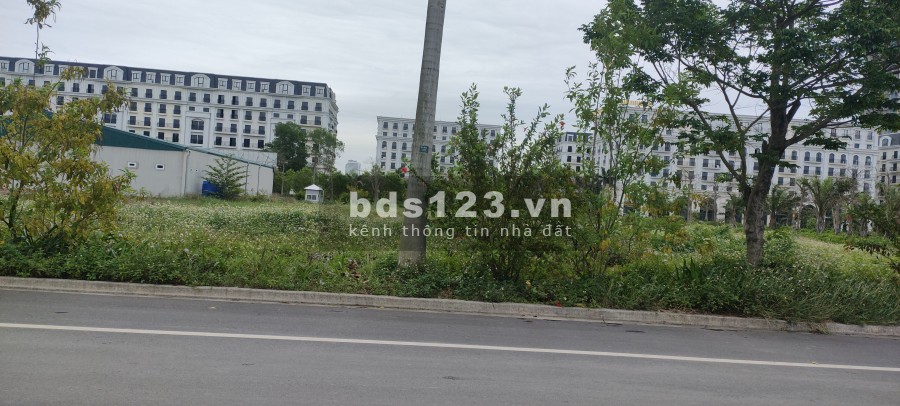 Bán lô đất khách sạn rẻ nhất Vịnh Bắc Bộ, giá bán 63.5 triệu/m2, liên hệ 0356236196