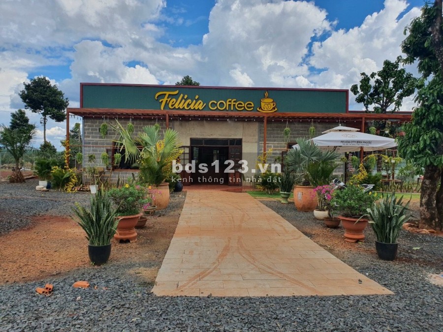 Bán gáp đất MT Đường DT741 Bình Phước, giá 750 triệu/100m2 siêu phẩm Felicia City Bình Phước