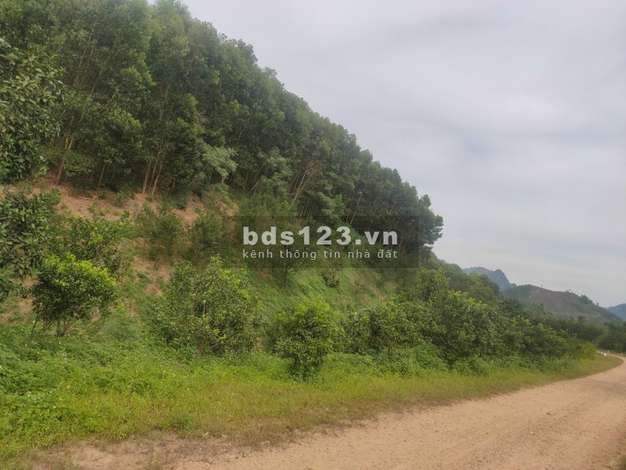 Chính chủ thanh khoản lô đất tại Minh Khương giá bán 2.86 tỷ liên hệ 0869777682