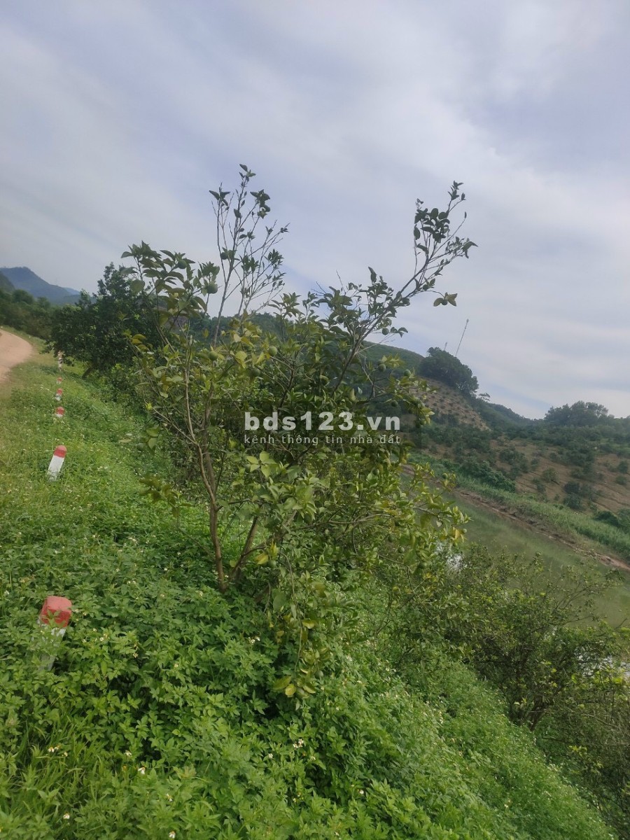 Chính chủ thanh khoản lô đất tại Minh Khương giá bán 2.86 tỷ liên hệ 0869777682