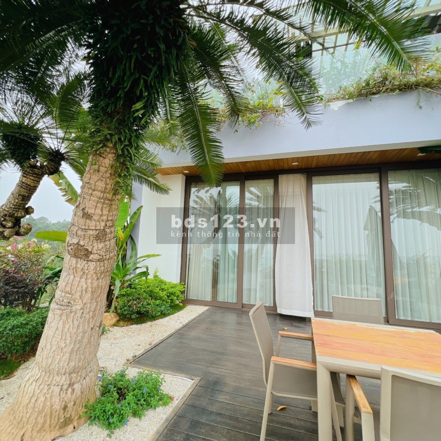 Căn hộ chung cư Flamingo vien biển Hải Tiến, giá bán chỉ từ 500 triệu, bàn giao đủ giấy tờ