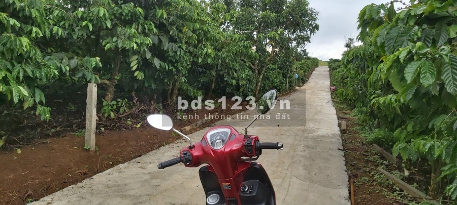 Bán mảnh đất diện tích 603 m2 tại xã Tân Châu, Di Linh, Lâm Đồng giá 920 triệu, lh 0912442669